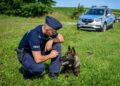 Czworonożny funkcjonariusz w Kazimierzy Wielkiej