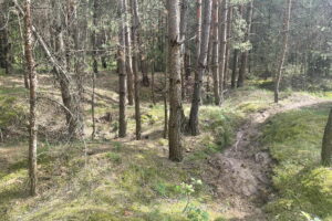 Na tropie szczątków „Pierwszego Marszałka” - Radio Kielce