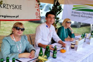 Bitwa Regionów w Sandomierzu - Radio Kielce