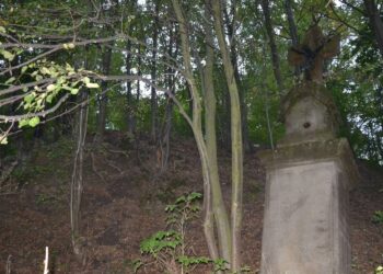 Tajemnica wzgórza świętej Cecylii