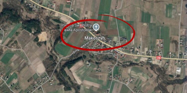 Brat zabił brata