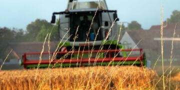 Zapowiada się klęska urodzaju