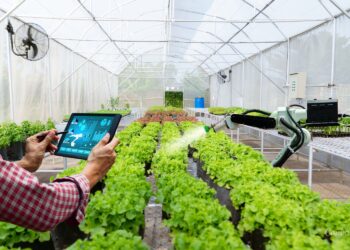 Nowoczesne technologie w rolnictwie / Fot. Canva