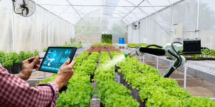 Nowoczesne technologie w rolnictwie / Fot. Canva