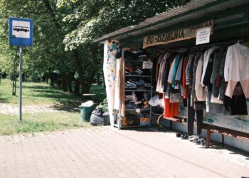Ogród deszczowy na przystanku w Maleńcu