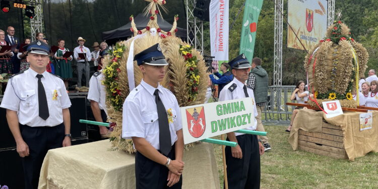 Moc ukryta w ziarnach