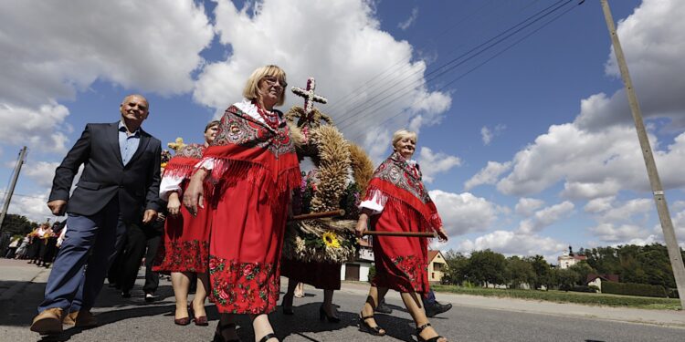 Powiatowe dożynki w Piekoszowie. Podziękują nie tylko rolnikom