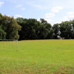 Wiśniowa. Park oraz Pałac Kołłątajów w Wiśniowej / Fot. staszow.pl