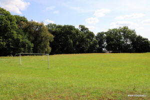 Wiśniowa. Park oraz Pałac Kołłątajów w Wiśniowej / Fot. staszow.pl