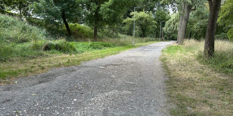 Rewitalizacja Parku Dolina Silnicy coraz bliżej - Radio Kielce Rewitalizacja Parku Dolina Silnicy coraz bliżej