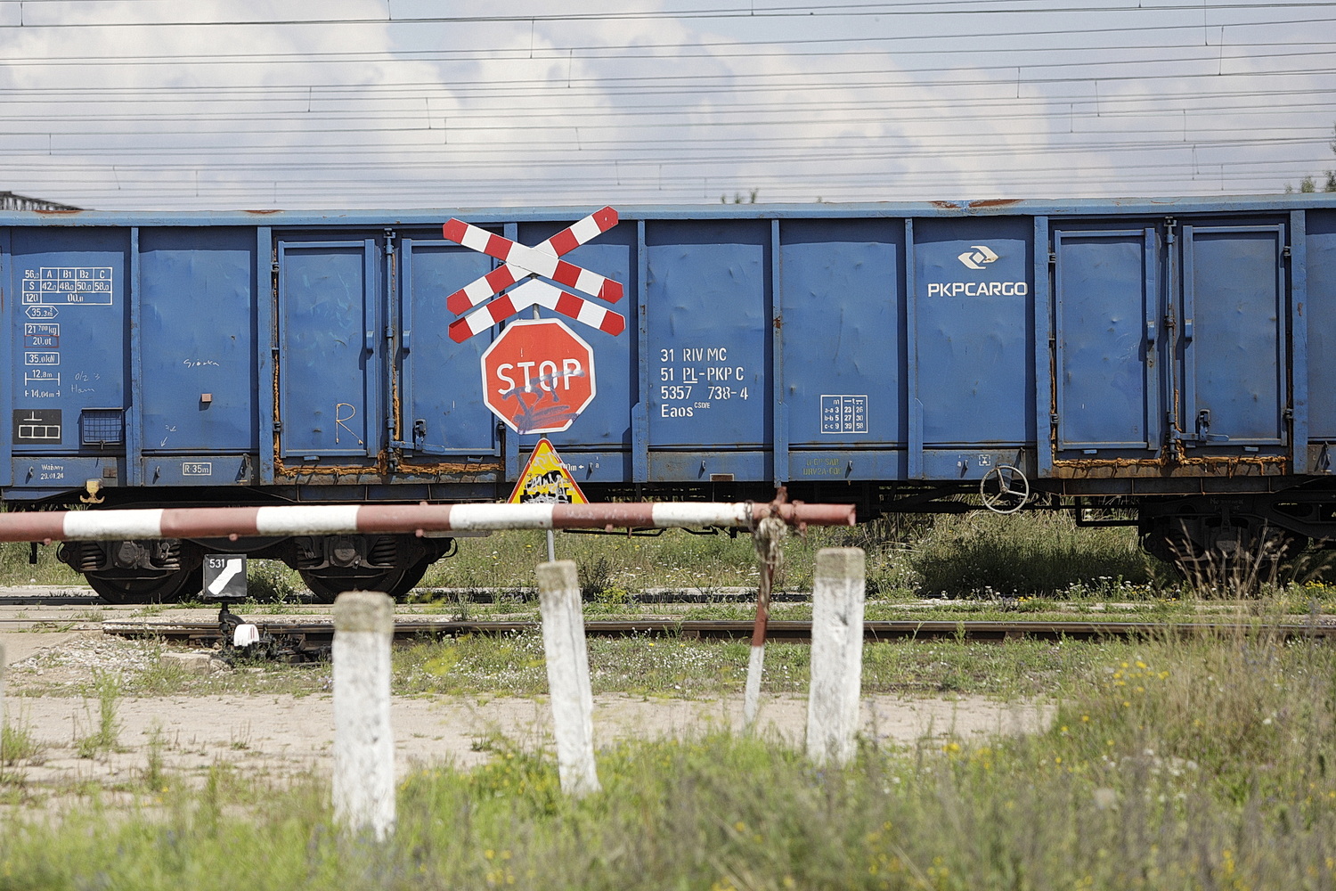 Ministerstwo: restrukturyzacja w PKP Cargo konieczna. Maszyniści: będą zwolnienia - Radio Kielce PKP CARGO. Pociąg towarowy / Fot. Jarosław Kubalski - Radio Kielce