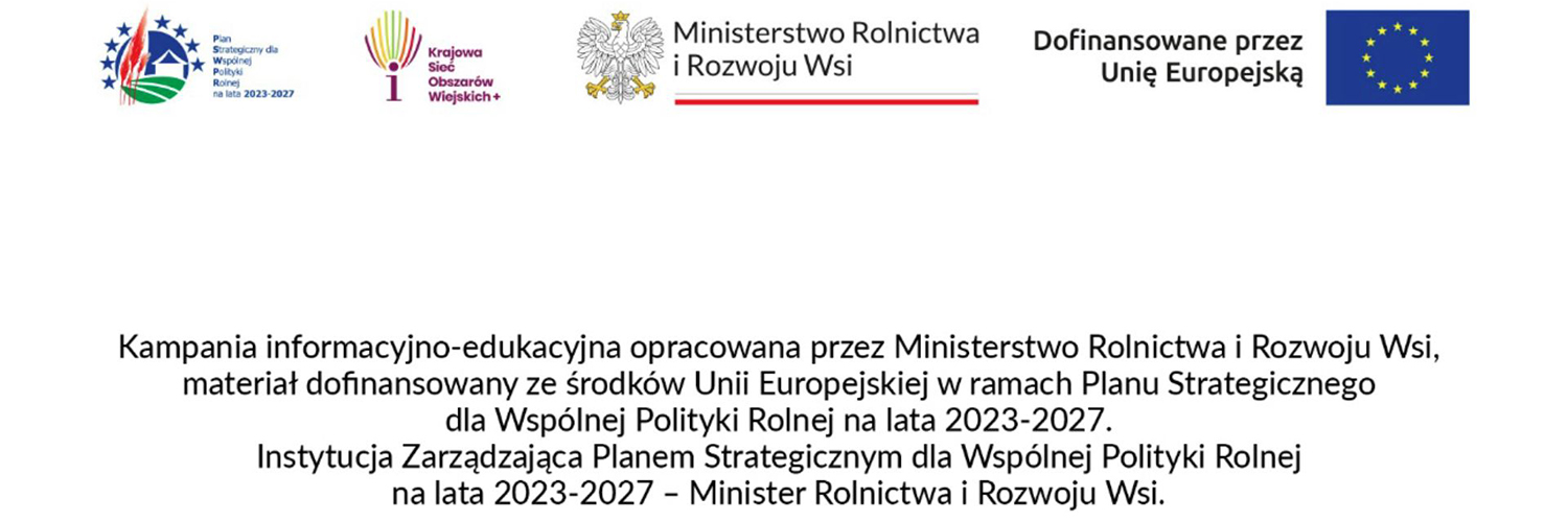 Projekt bez nazwy - 1