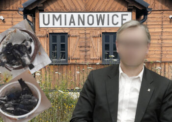 Są zarzuty w sprawie zabicia jaskółek. Także dla działacza PiS