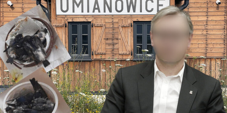 Są zarzuty w sprawie zabicia jaskółek. Także dla działacza PiS