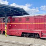 3.08.2025. Jędrzejów. Świętokrzyska Kolejka Wąskotorowa „Ciuchcia Ponidzie” / Fot. Robert Felczak - Radio Kielce