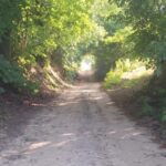 Zawichost. Drogi w wąwozach, które będą przebudowywane / Fot. Grażyna Szlęzak - Radio Kielce