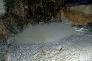 Powierzchnia wybrzeża morskiego ze śladami czołgania się ryb dwudysznych / Fot. P. Szrek; źródło: Państwowy Instytut Geologiczny - Państwowy Instytut Badawczy; grafika Jakub Zalewski