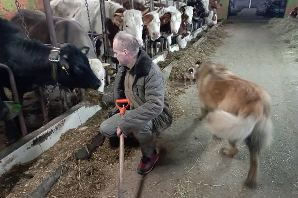 Dzień Polskiej Żywności – ważne święto dla naszych rolników 2 Obice. Gospodarstwo Romana Popisa / Fot. Roman Popis
