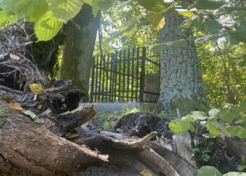 Gdzie są szczątki ciała? Pytania ze śledztwa