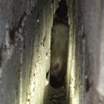 Fot. Straż Pożarna