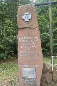 Problemy to nasza specjalność - Radio Kielce
