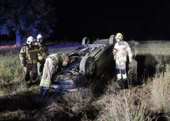 Sarna przyczyną dachowania
