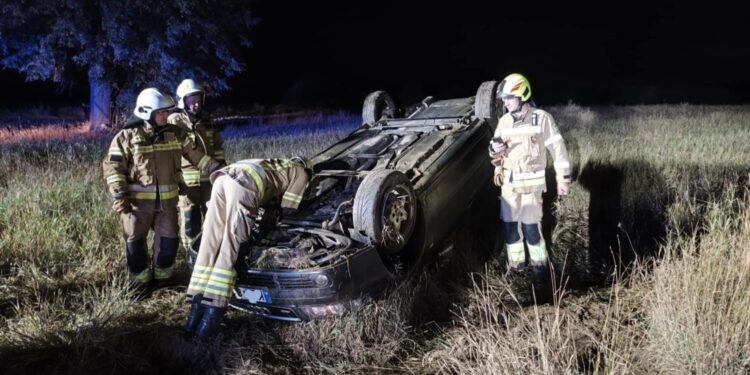 Sarna przyczyną dachowania