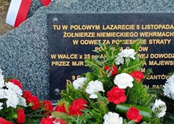 Boków gminie Stąporków. Pomnik po renowacji upamiętniający żołnierzy 25. Pułku Piechoty Armii Krajowej / Fot. Magdalena Galas-Klusek - Radio Kielce