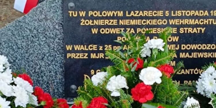 Boków gminie Stąporków. Pomnik po renowacji upamiętniający żołnierzy 25. Pułku Piechoty Armii Krajowej / Fot. Magdalena Galas-Klusek - Radio Kielce