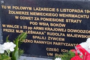 Boków gminie Stąporków. Pomnik po renowacji upamiętniający żołnierzy 25. Pułku Piechoty Armii Krajowej / Fot. Magdalena Galas-Klusek - Radio Kielce