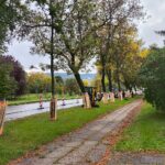 29.09.2025. Kielce. Ul. Tarnowska / Fot. Dariusz Kuc - Radio Kielce