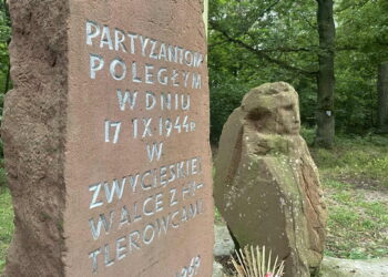 Problemy to nasza specjalność