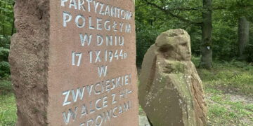 Problemy to nasza specjalność