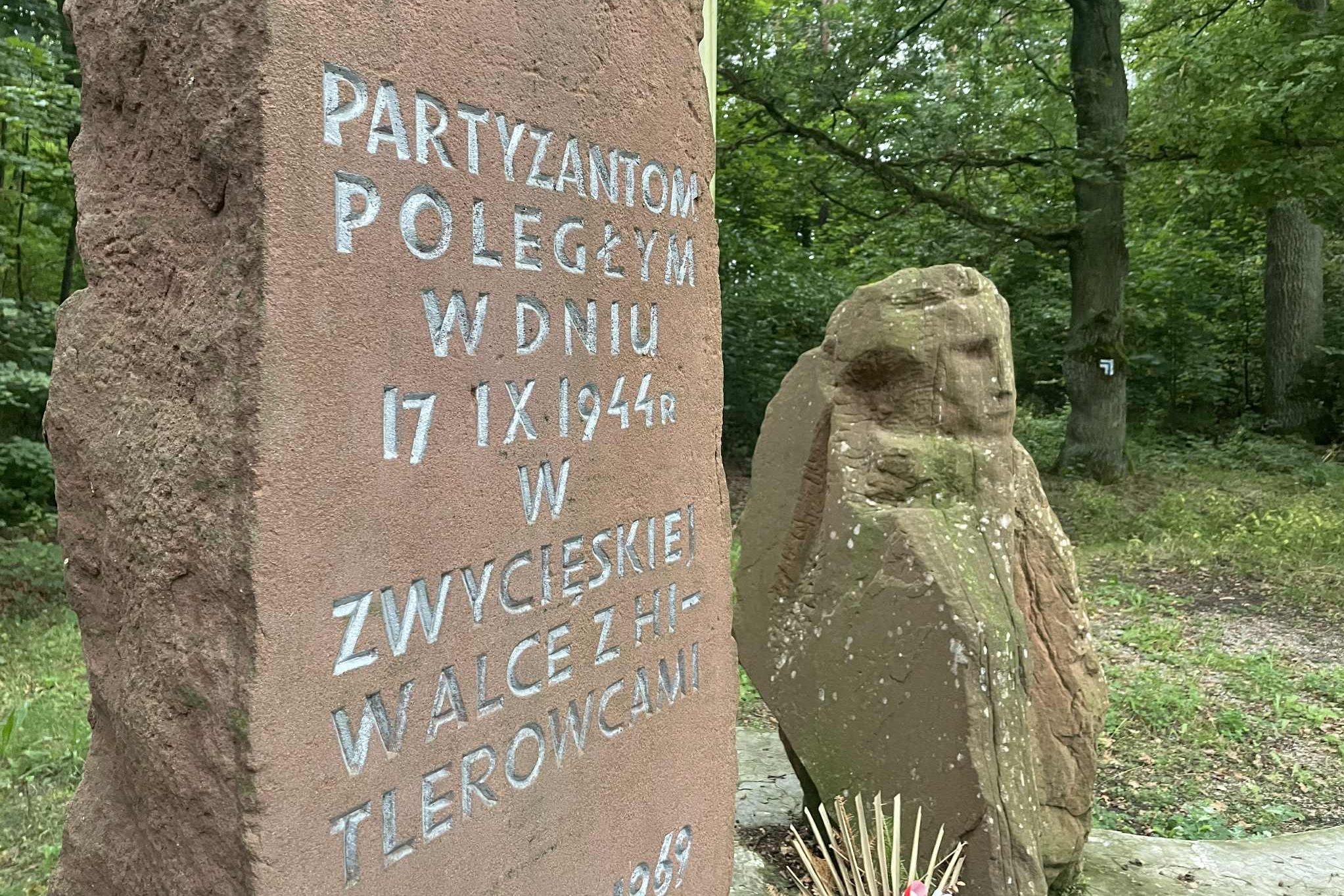 Problemy to nasza specjalność