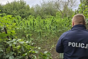 Fot. Policja Świętokrzyska