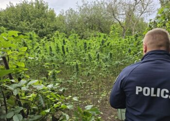 Fot. Policja Świętokrzyska