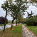 29.09.2025. Kielce. Ul. Tarnowska / Fot. Dariusz Kuc - Radio Kielce