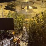 Fot. Policja Świętokrzyska