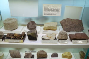 25.09.2025. Kielce. Państwowy Instytut Geologiczny - Państwowego Instytutu Badawczego. Konferencja / Fot. Wiktor Taszłow - Radio Kielce