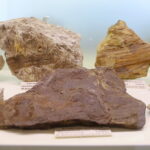 25.09.2025. Kielce. Państwowy Instytut Geologiczny - Państwowego Instytutu Badawczego. Konferencja / Fot. Wiktor Taszłow - Radio Kielce