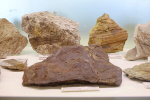 25.09.2025. Kielce. Państwowy Instytut Geologiczny - Państwowego Instytutu Badawczego. Konferencja / Fot. Wiktor Taszłow - Radio Kielce