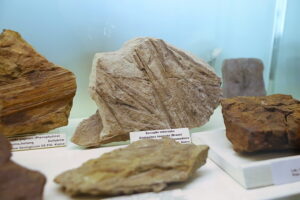 25.09.2025. Kielce. Państwowy Instytut Geologiczny - Państwowego Instytutu Badawczego. Konferencja / Fot. Wiktor Taszłow - Radio Kielce