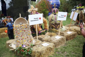 07.09.2025. Tokarnia. Park Etnograficzny. Dożynki wojewódzkie / Fot. Wiktor Taszłow - Radio Kielce
