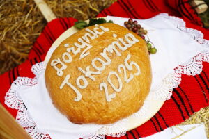 07.09.2025. Tokarnia. Park Etnograficzny. Dożynki wojewódzkie / Fot. Wiktor Taszłow - Radio Kielce
