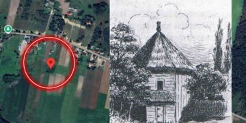 Z dawnego dworu pozostała kępa krzaków