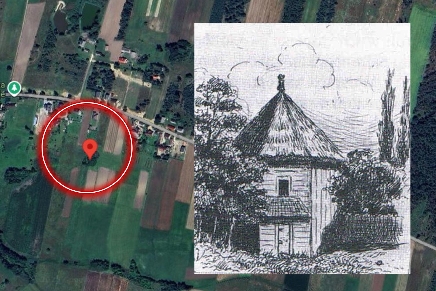 Z dawnego dworu pozostała kępa krzaków