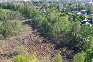 Skarżysko-Kamienna. Sadzenie drzewek - Radio Kielce