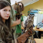 11.09.2025. Kielce. Pokazy sokolników wykonaniu uczniów z Zespołu Szkół Leśnych w Zagnańsku mogli obejrzeć pacjenci stacjonarnego hospicjum na osiedlu Czarnów w Kielcach / Fot. Jarosław Kubalski – Radio Kielce