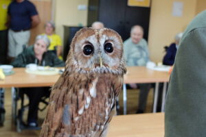 11.09.2025. Kielce. Pokazy sokolników wykonaniu uczniów z Zespołu Szkół Leśnych w Zagnańsku mogli obejrzeć pacjenci stacjonarnego hospicjum na osiedlu Czarnów w Kielcach / Fot. Jarosław Kubalski – Radio Kielce
