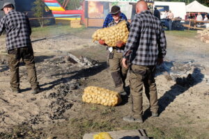 Dębno królestwem pieczonego ziemniaka - Radio Kielce